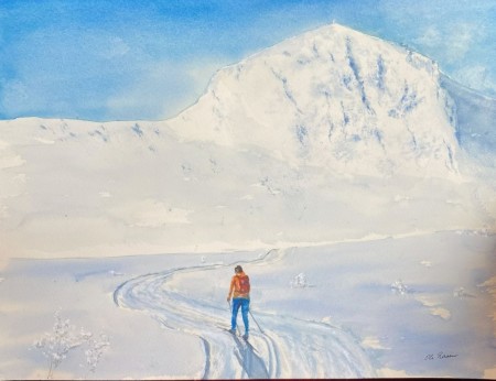 Mot Bitihorn